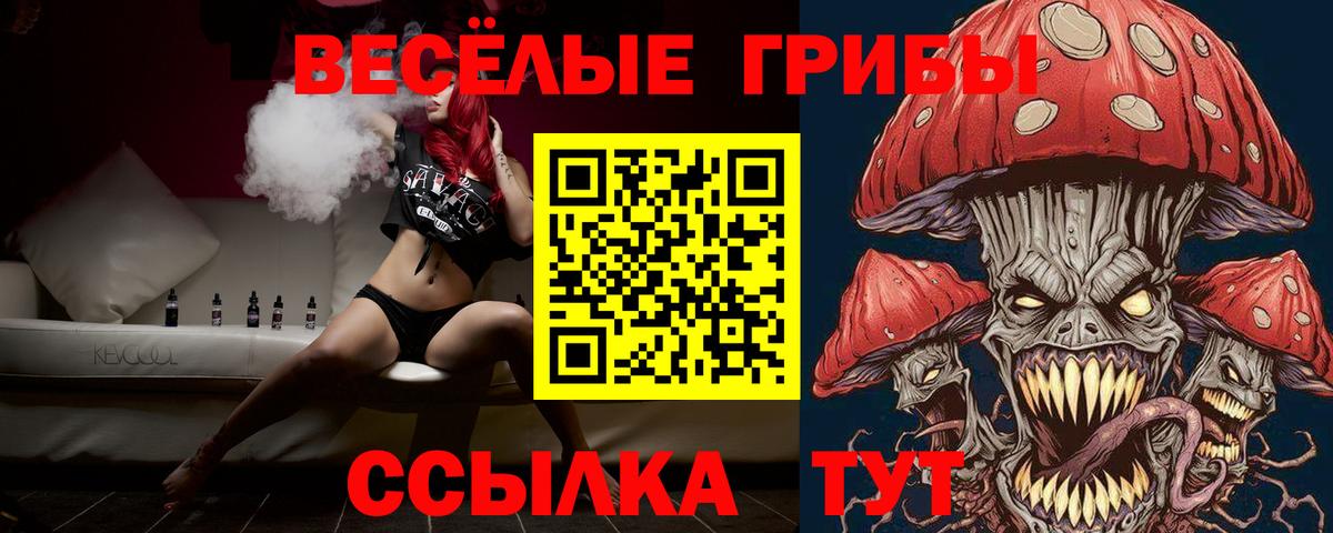 Гулькевичи  Псилоцибиновые грибы ЛСД  Вход с VPN 